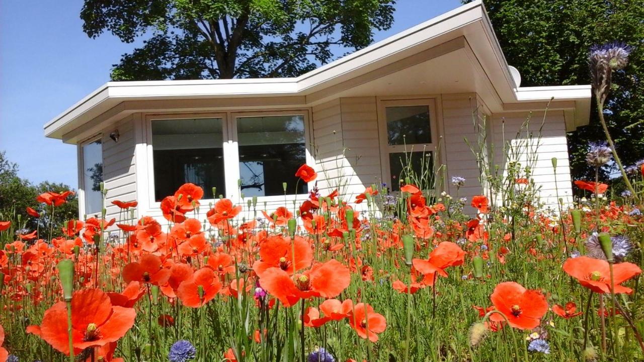 Het Findament Tiny House Villa Hilversum Exterior photo